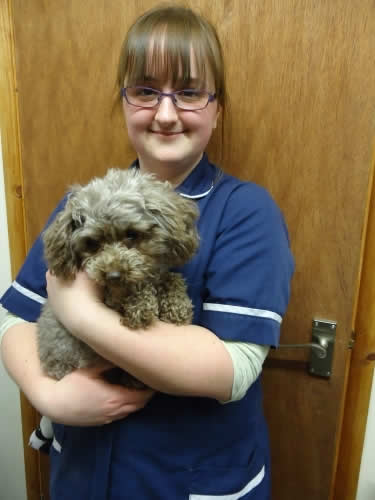 Nurse and dog at Montgomery Vets