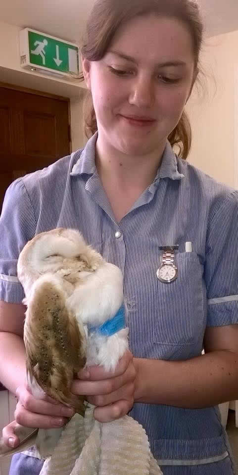 owl and nurse at Montgomery Vets
